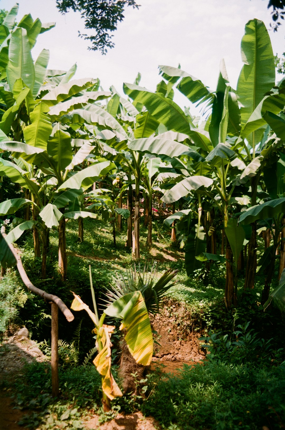 Exclusive Tour en Panamá